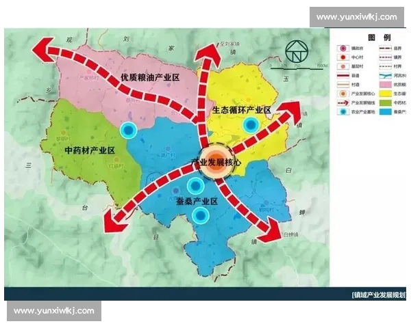 体育职业发展路径与未来规划全面指导方案